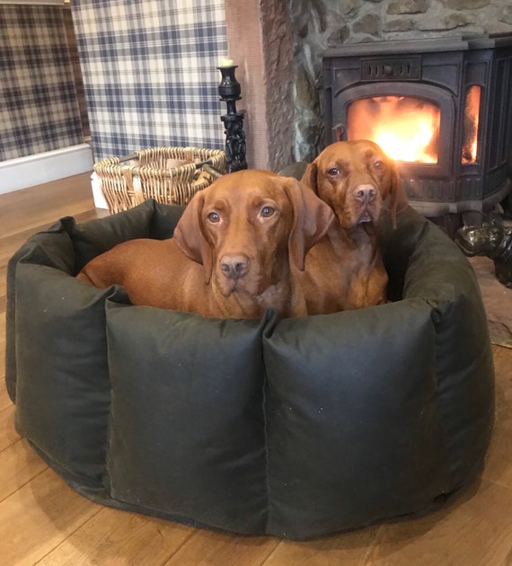 snuggle pod dog bed