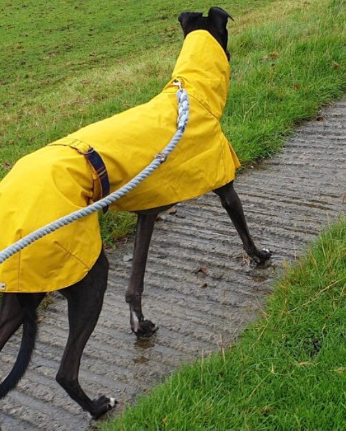 NORDICA (ノルディカ) Dobermann Rain Coat NORDICA DOBERMANN RAIN COAT Svart L/XL Lång coachjacka