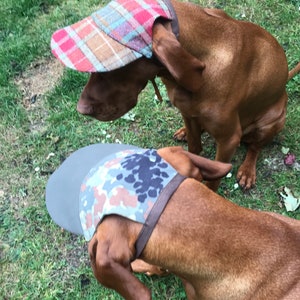 May include: Two brown dogs wearing patterned hats. The dog on the left is wearing a red, blue, and brown plaid hat. The dog on the right is wearing a camouflage hat with a gray brim.