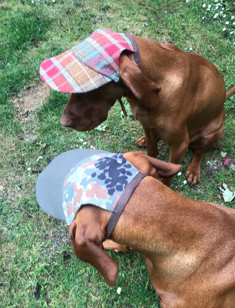 May include: Two brown dogs wearing patterned hats. The dog on the left is wearing a red, blue, and brown plaid hat. The dog on the right is wearing a camouflage hat with a gray brim.