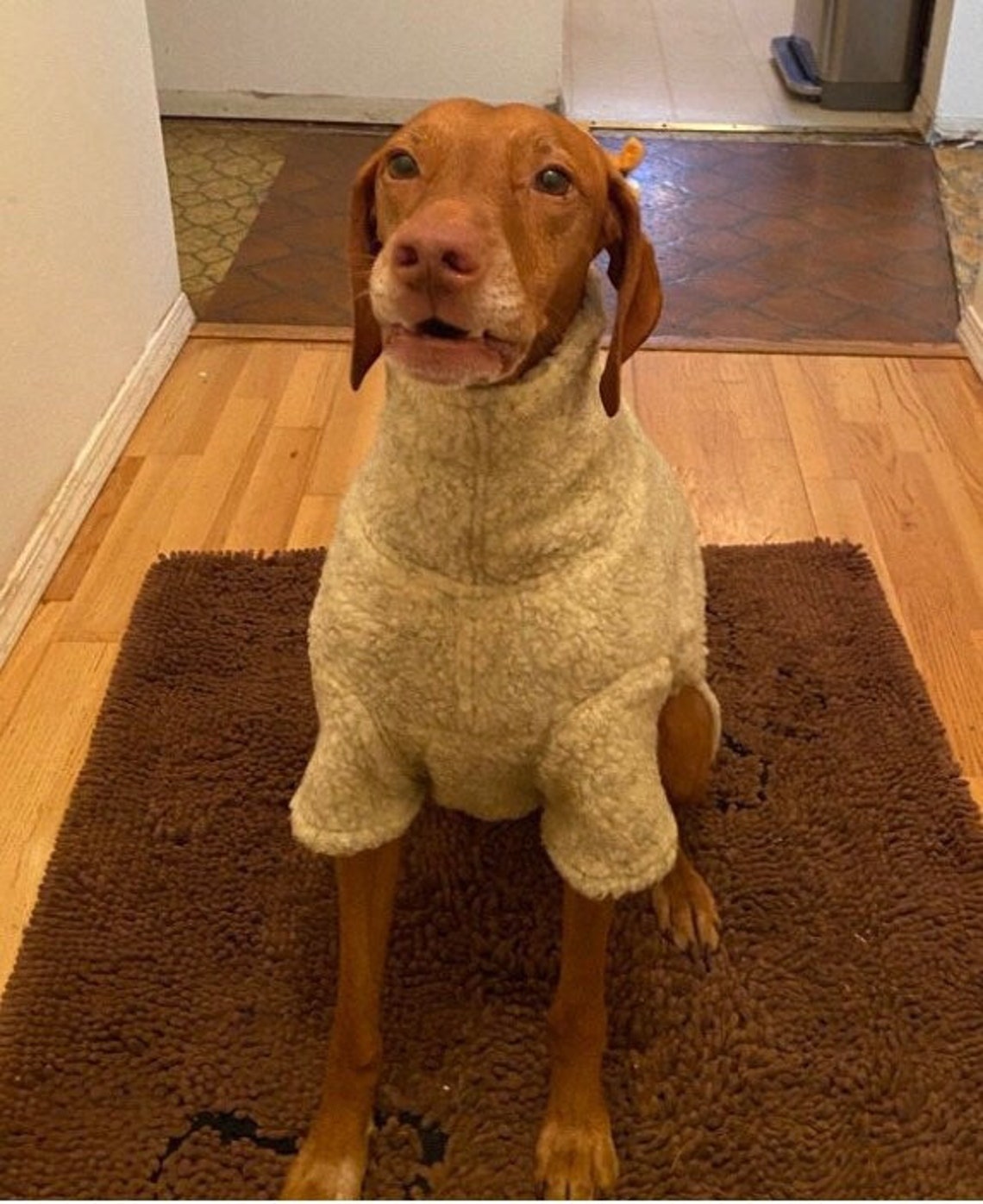 Sherpa fleece dog coat Etsy