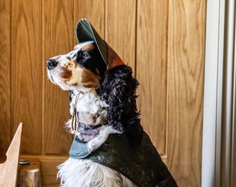 Dog Caps