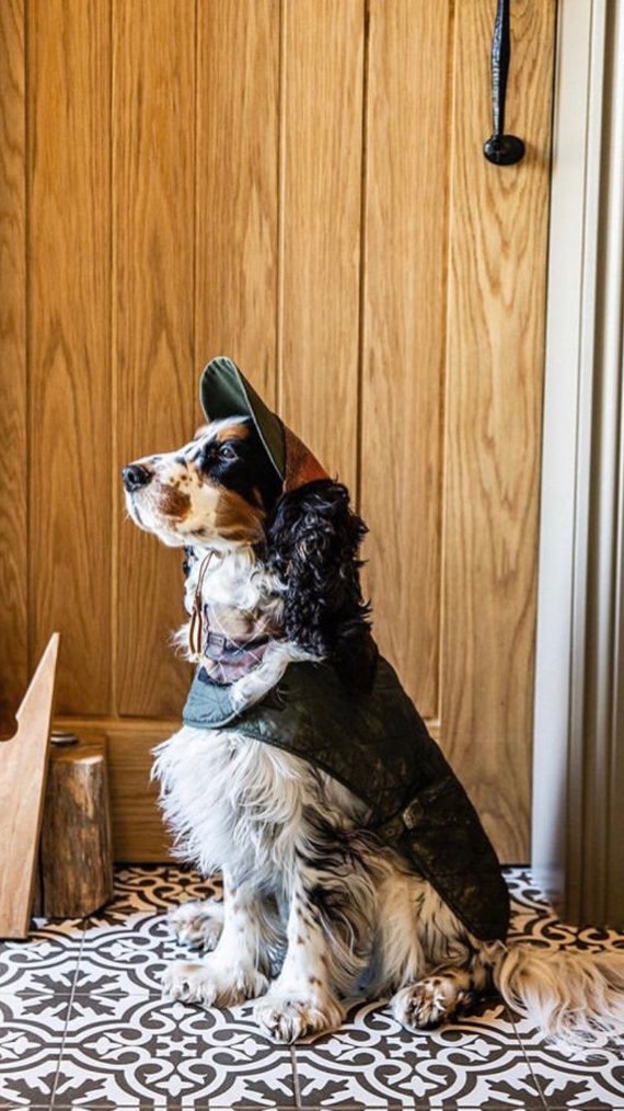 Dog Caps