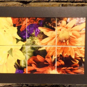 Framed Custom Ceramic Photo Tile Mural