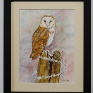 Bard Owl on Post - Print. By Sue Podbery  Choice of Frame Colour