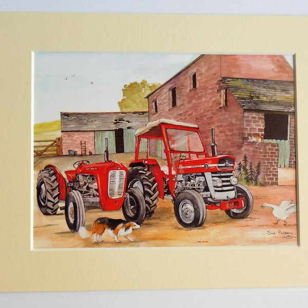 Vintage and Classic Massey Ferguson Tractors,  Mounted Print - by Sue Podbery