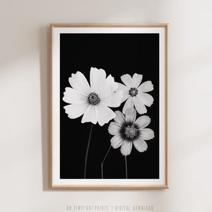 Printable Floral Wall Art, Black and White Cosmos Flower Print, Photography Digital Download, Minimalist Decor