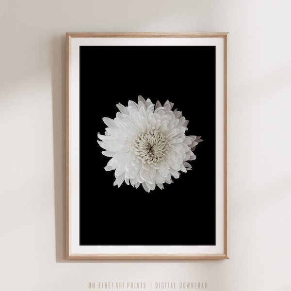 Printable Flower Photography, Black and White Prints, Digital Prints, Printable Wall Art Download, Large Modern Botanical Poster