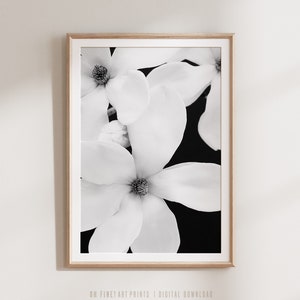 Zwart-witte magnoliabloemenprint, kunst aan de muur, natuurfotografie, hedendaagse botanische poster, digitale download, bloemenposter