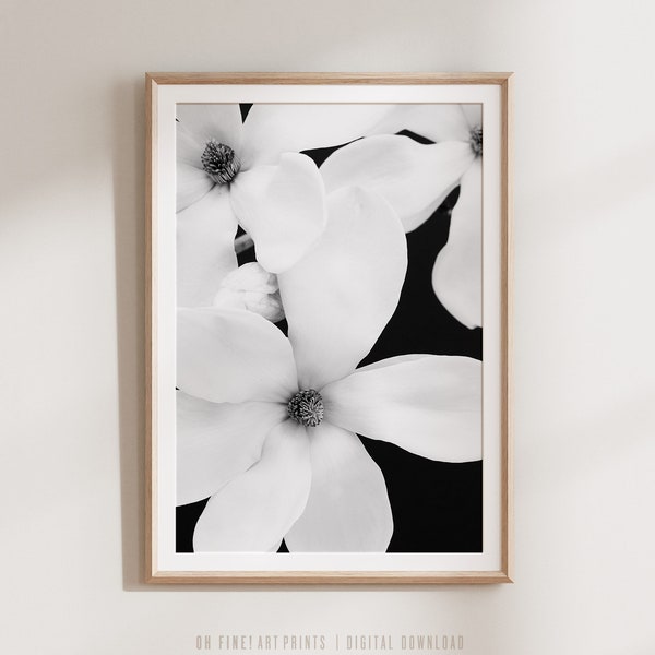Black and White Magnolia Flower Print, Wall Art Print, Nature Photography, Contemporary Botanical Poster, Digital Download, Floral Poster
