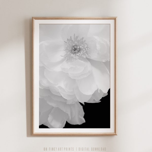 Peony Print, Floral Printable, Wall Art Print, Black and White Print, Flower Print, Flower Photo, Floral Art Print, Floral Wall Art