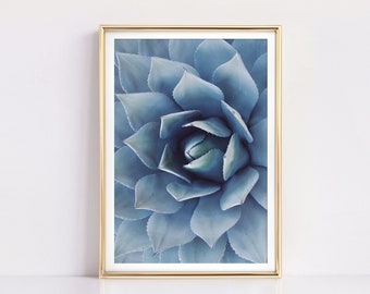 Agave Cactus Print, Cactus Wall Art, Blue Succulent Print, Succulent Art Print, Botanical Print, PRINTABLE Art, Large Art