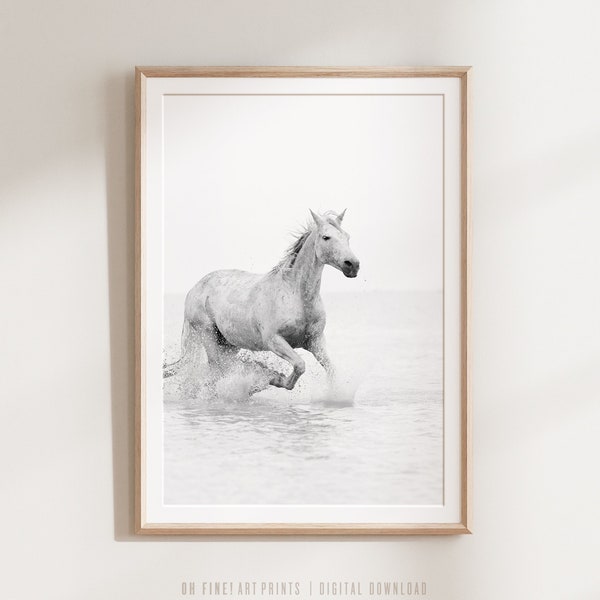Pferdedruck, Schwarzweißdrucke, druckbare Wandkunst, Digitaldruck, minimalistische Wanddekoration, Natur, weißes Pferd Kunst, Poster