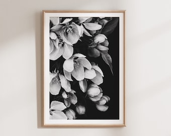 Flower Print, Botanical PRINTABLE Wall Art, Prints, Black and White Print, Bohemian Floral Print, Flower Photography, Mother Flower Gift