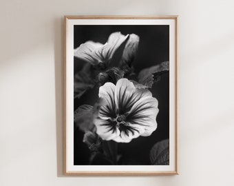 Botanical Print Download, Botanical Printable, Black and White Prints, Fine Art Photography Print, Floral Wall Art, Fine Art Print Flowers