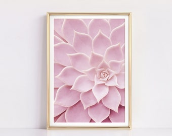 Pink Cactus Print, Botanical PRINTABLE Wall Art, Nature Photography Download, Bedroom Wall Decor, Cactus Decor, Digital Download