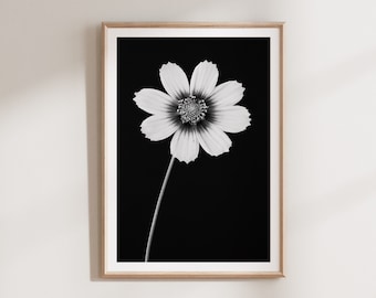 Cosmos, Flower Print, Black and White Prints, Modern Botanical Print, Floral Poster, Large Wall Art, Flower Poster, PRINTABLE ART