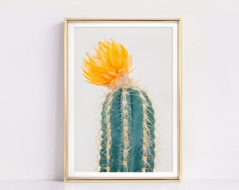 Cactus Print, Cactus Wall Art Print, Flowering Cactus Poster, Minimalist Cactus Photography Print, Printable Art, Modern Cactus Printable