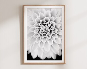 Dahlia Print, Black and White Wall Art, Botanical Print, Flower Photography, Printable Wall Art, Downloadable Mothers Day Art