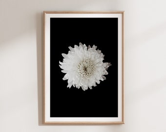 Druckbare Blume Fotografie, schwarz weiß Drucke, Digitaldrucke, druckbare Wandkunst Download, großes modernes botanisches Plakat