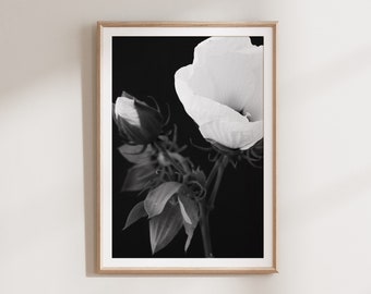 Black and White Flower Print, Wall Art, Printable Art Print, Floral Art Print, Digital Download, Prints, Wall Decor, Fine Art Print