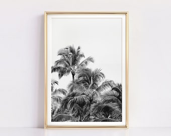 Tropical Wall Art Prints, Palm Tree Print, Black and White Prints, Printable Art, Instant Download, Tropical Print, Hawaii Photography