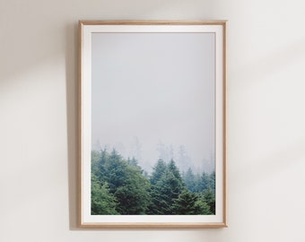 Forest Print, Scandinavian Wall Art, Nature Photography Download, Modern Minimalist Landscape Print, PRINTABLE Wall Art, Foggy Forest