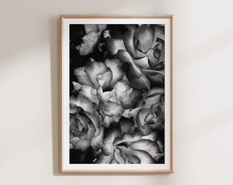 Impresión de rosas, arte de pared imprimible, impresión botánica, arte en blanco y negro, arte de la pared del dormitorio, estampado floral, rosas boho, naturaleza, cartel imprimible