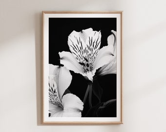 Black and White Botanical Print, Floral Wall Art, Printable Art, Black and White Print, Digital Download, Floral Print Large Poster Download