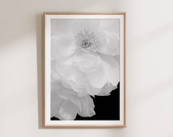 Peony Print, Floral Printable, Wall Art Print, Black and White Print, Flower Print, Flower Photo, Floral Art Print, Floral Wall Art