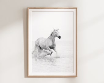 Horse Print, Black and White Prints, Printable Wall Art, Digital Print, Minimalist Wall Decor, Nature Wall Art, White Horse Art, Poster