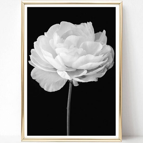 Flower Print Printable Art Black and White Prints Floral - Etsy