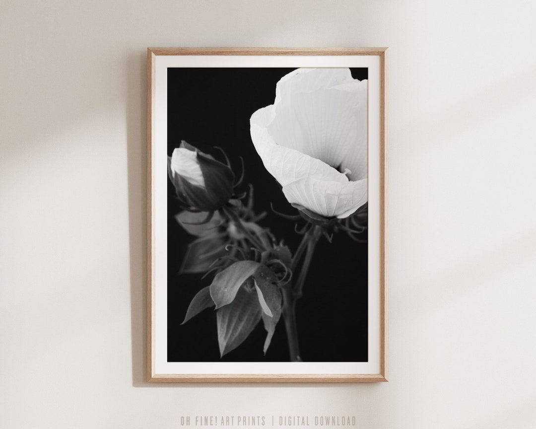 Black and White Flower Print, Wall Art, Printable Art Print, Floral Art ...