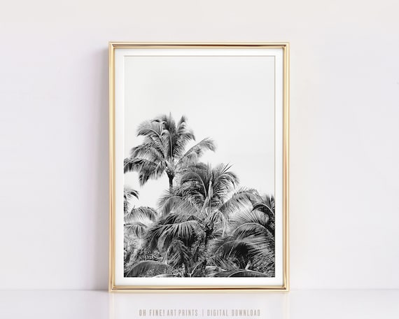 Tropical Wall Art Prints, Palm Tree Print, Black and White Prints, Printable Art, Instant Download, Tropical Print, Hawaii Photography
