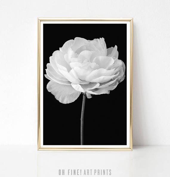 Printable Flower Print Peony Print Black And White Prints Etsy