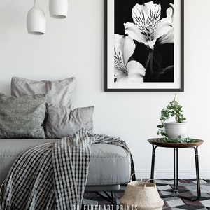 Black and White Botanical Print Floral Wall Art Printable - Etsy