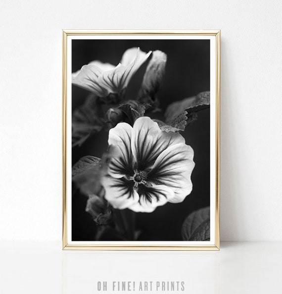 Botanical Print Download Botanical Printable Black and White | Etsy