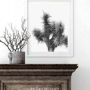 Cactus Print, Cactus Wall Art, Printable Wall Art, Black and White Art ...