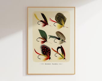 May include: A framed print featuring six colorful bass flies. The flies are depicted with detailed illustrations of feathers, hooks, and various materials. The print has a cream-colored background with the text "BASS FLIES" at the bottom.