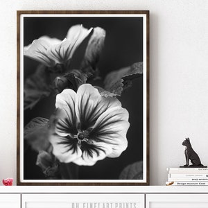 Botanical Print Download, Botanical Printable, Black and White Prints ...