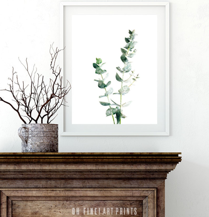 Eucalyptus Printable Wall Art Botanical Print Botanical Etsy