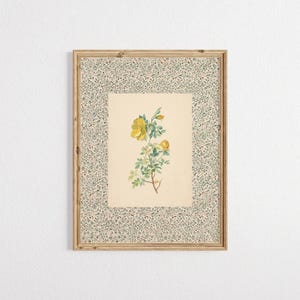 Może przedstawiać: Ilustracja botaniczna w ramie przedstawiająca żółtą różę z zielonymi liśćmi i łodygami. Rama ma ozdobną ramkę z zielonym i białym wzorem kwiatowym.