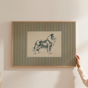 Vintage Border Collie Art Print, Teal Striped Rustic Farmhouse Dog Wall Decor (Digital Download A501)