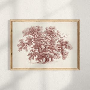 Disegno di quercia d'epoca, stampabile su carta da parati in stile country francese, decorazione da parete autunnale in stile fattoria, schizzo della natura in rosso bordeaux, download digitale A378