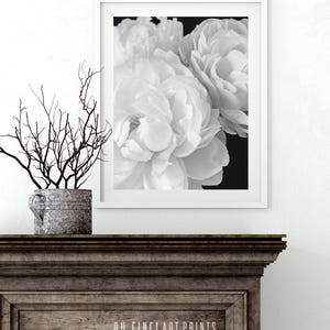 Flower Print, Printable Art, Black and White Prints, Floral Wall Art ...