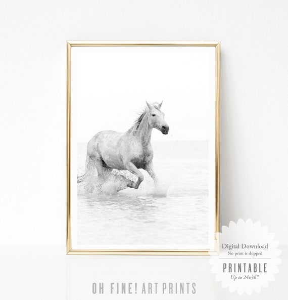 Horse Print Black and White Prints Printable Wall Art | Etsy