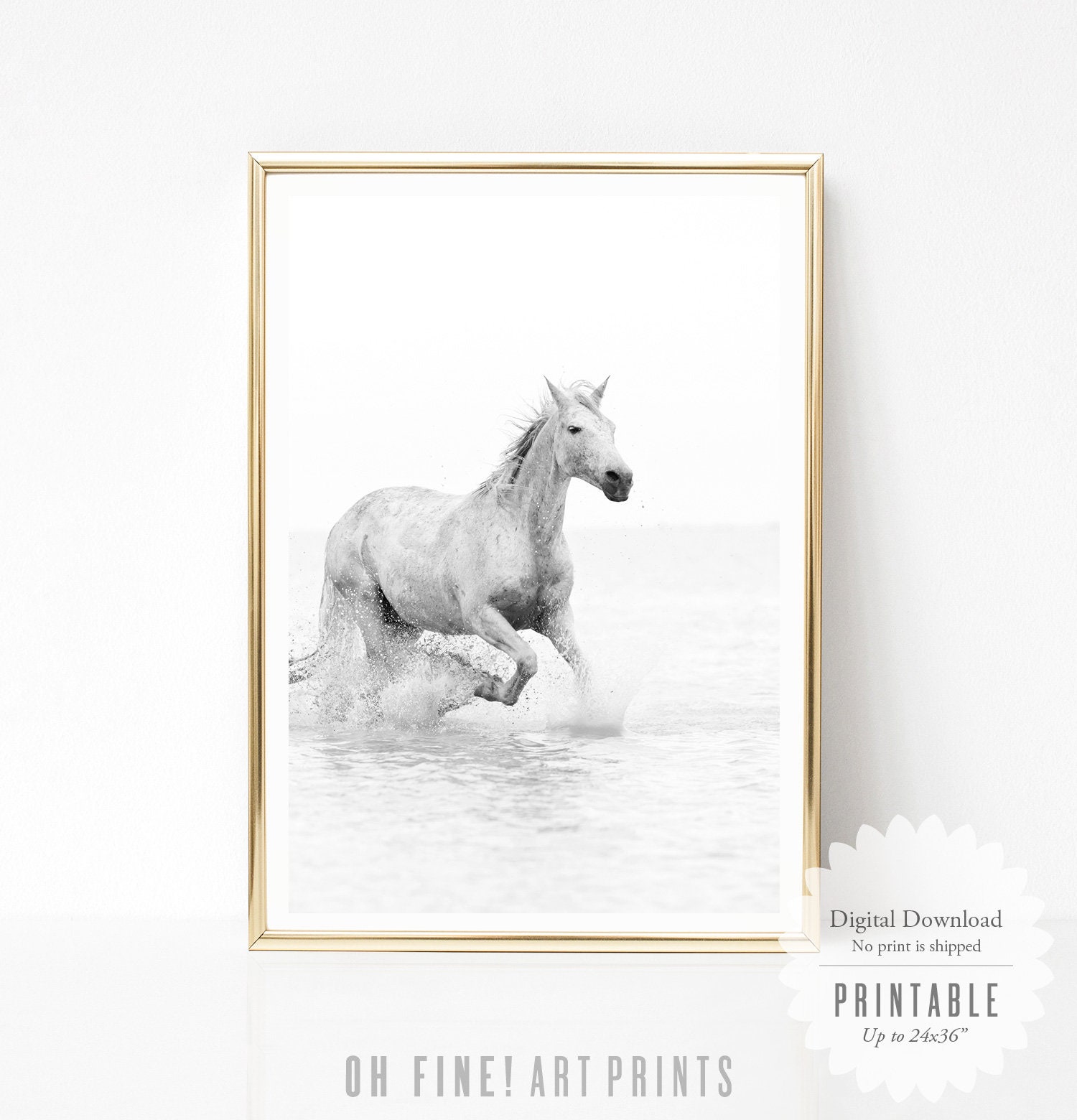 Horse Print Black and White Prints Printable Wall Art Etsy