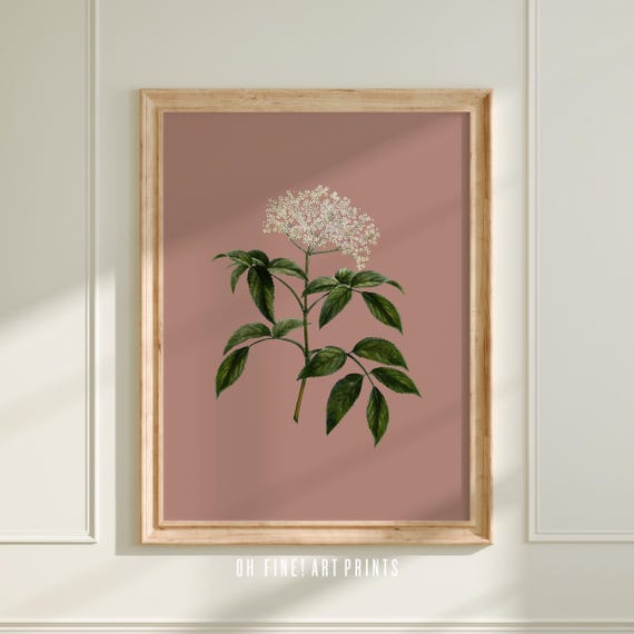 Farmhouse Floral Wall Art, Minimalist Cottagecore Wall Decor, Light Pink Antique Botanical Printable, Downloadable Digital Print A301