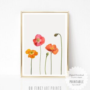 Poppy Flower Print, Flower Wall Art Print, Farmhouse Printable Wall Art ...