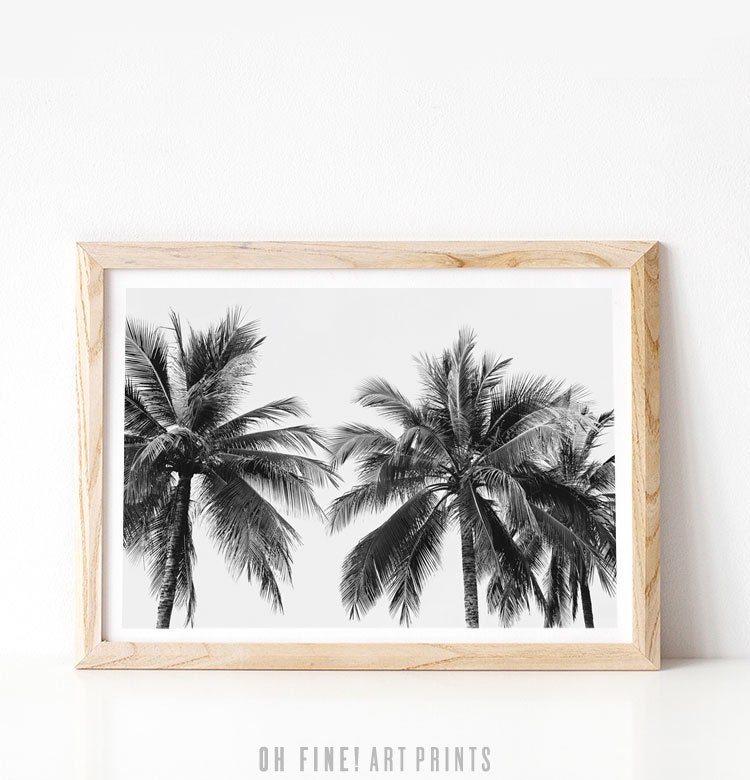 Palm Tree Print Black and White Print Wall Art Dorm Decor | Etsy